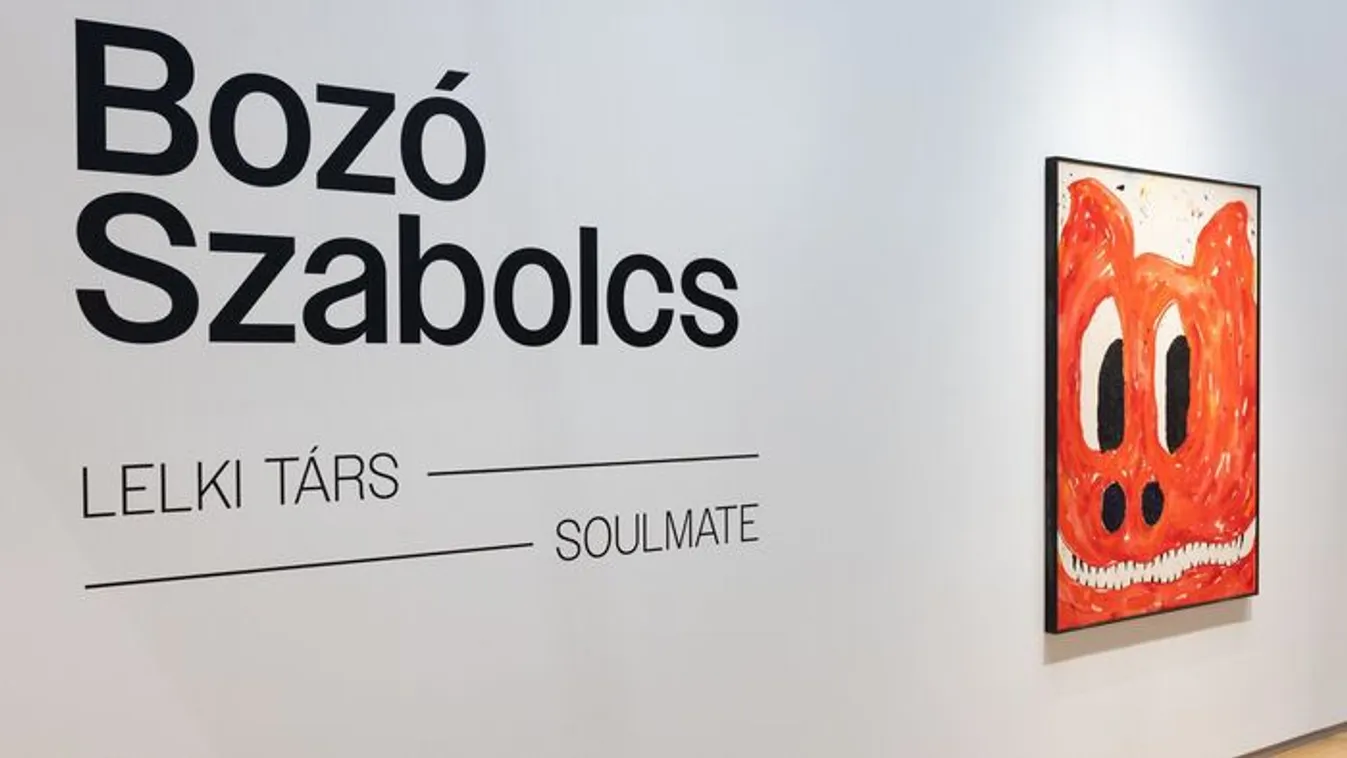 Megnyílik Bozó Szabolcs első hazai önálló kiállítása