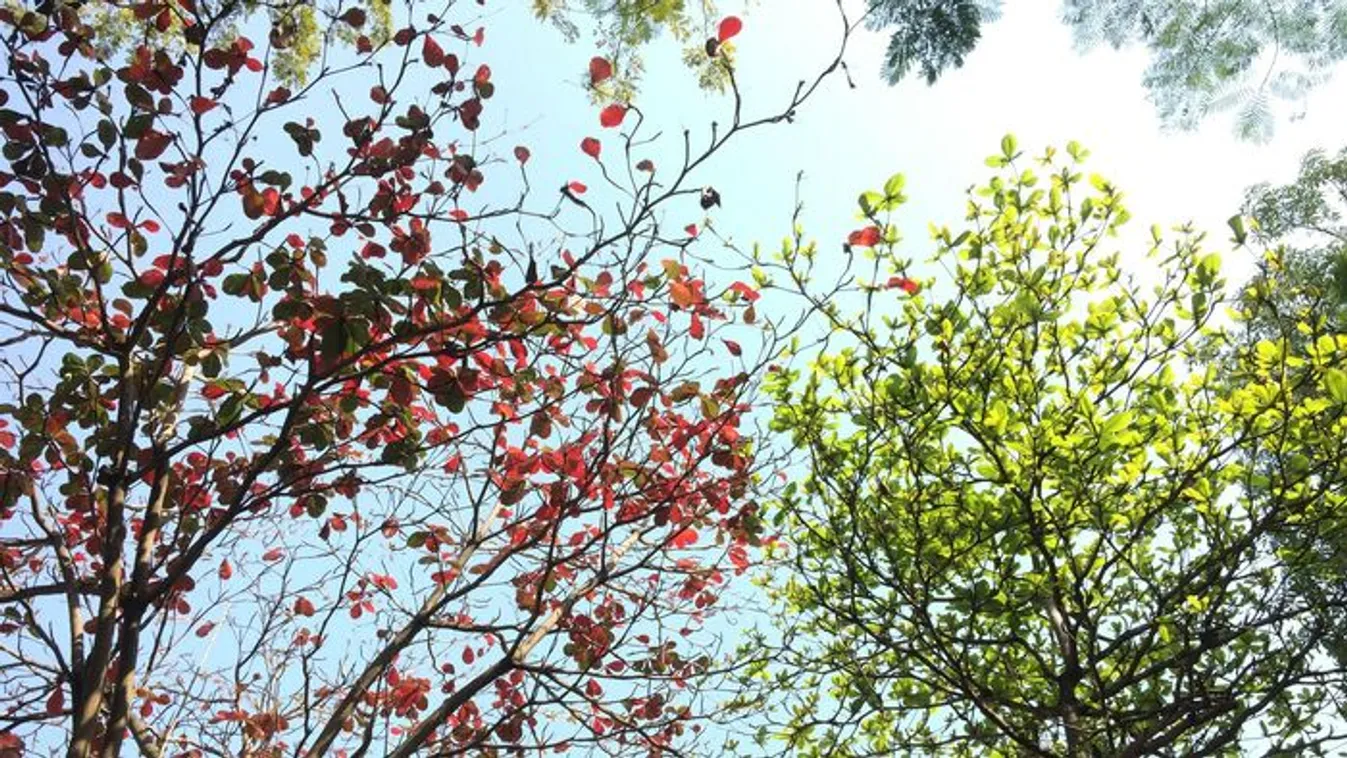 Örökre vége az évszakoknak? Ez vár ránk a jövőben