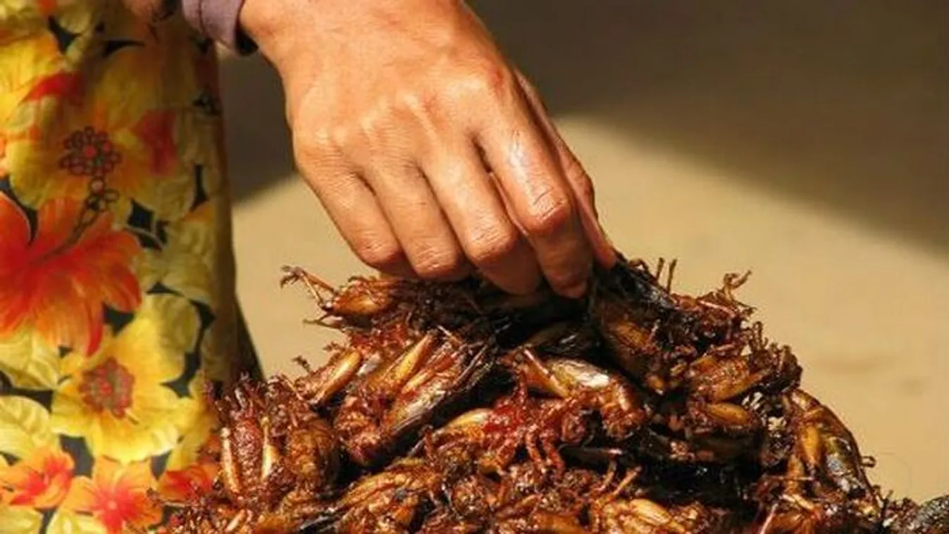 Bizarr ételek a nagyvilágban