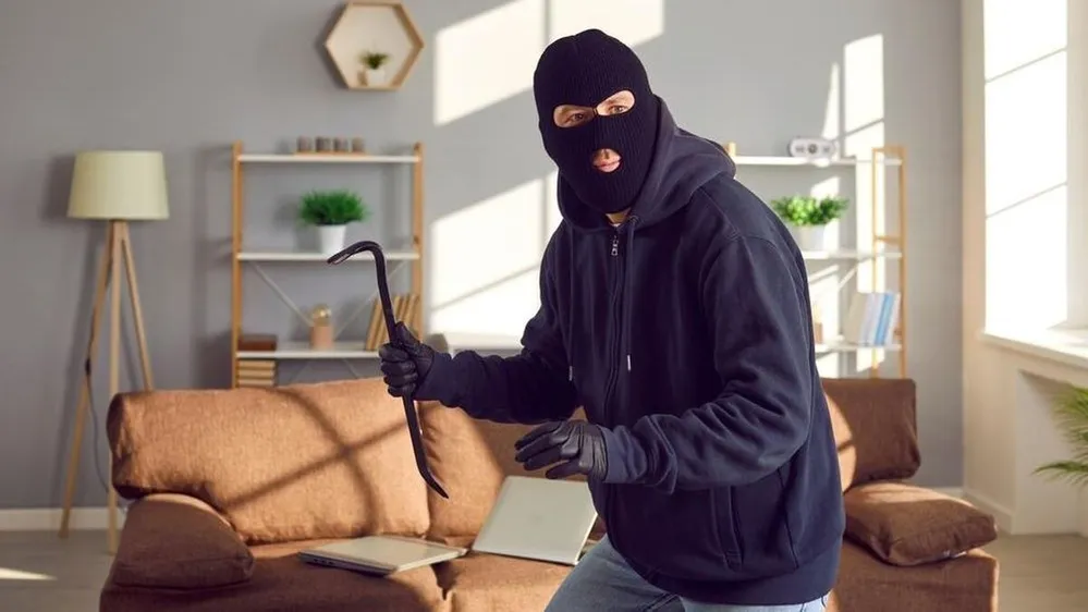 Golfütővel és rovarirtó spray-vel vették fel a harcot a betörőkkel.