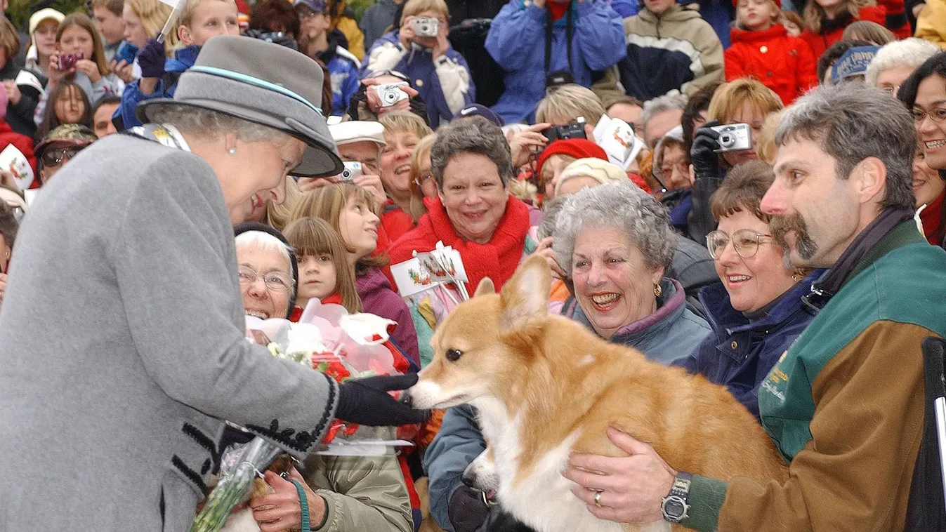 II. Erzsébet királynő kutyáin keresztül üzen szeretteinek