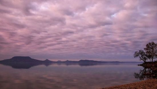 Természetvédelmi vészhelyzet alakult ki a Balatonnál és a Velencei-tónál