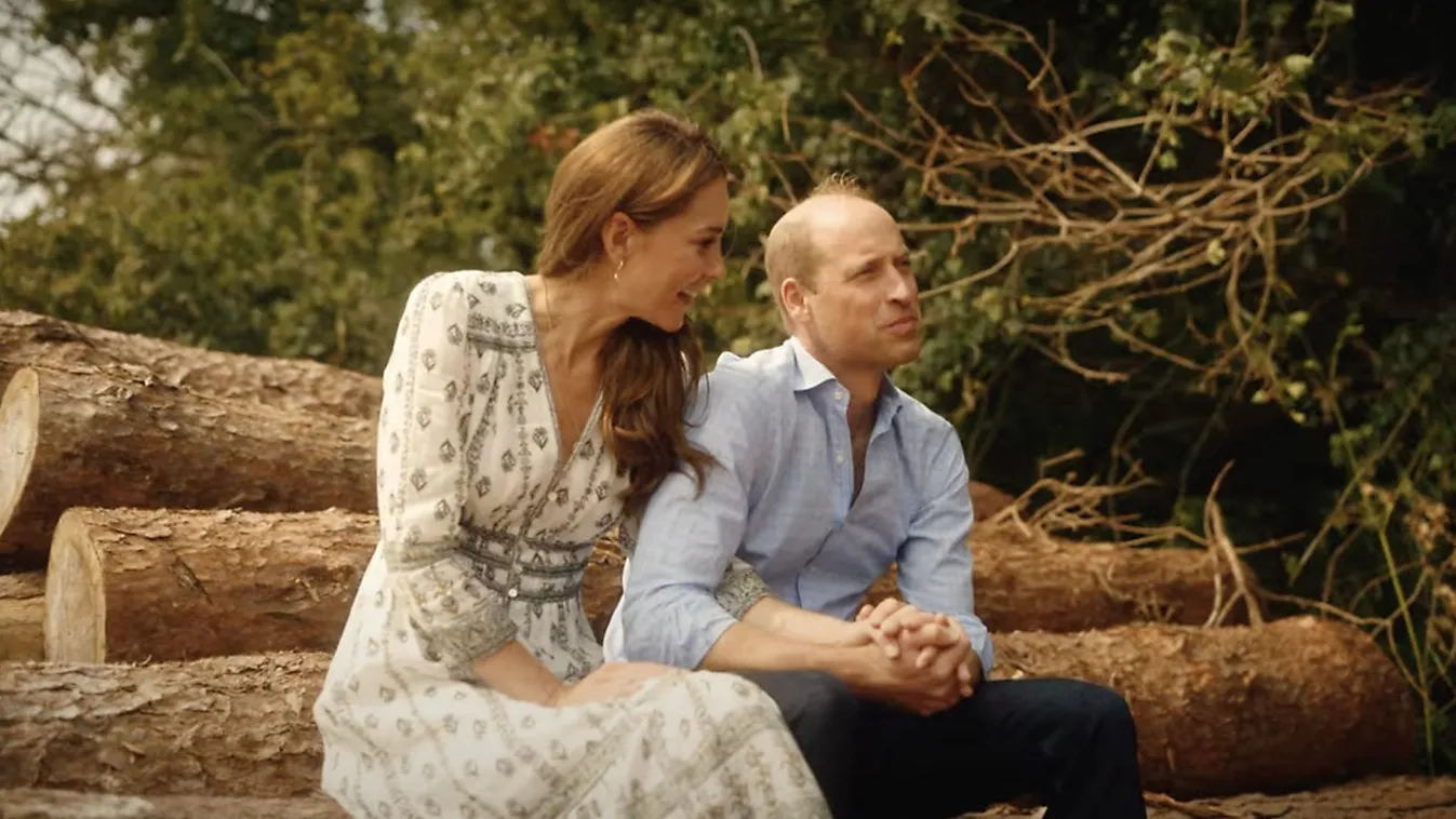 Vilmos herceg ezt az egy dolgot már nem teheti meg