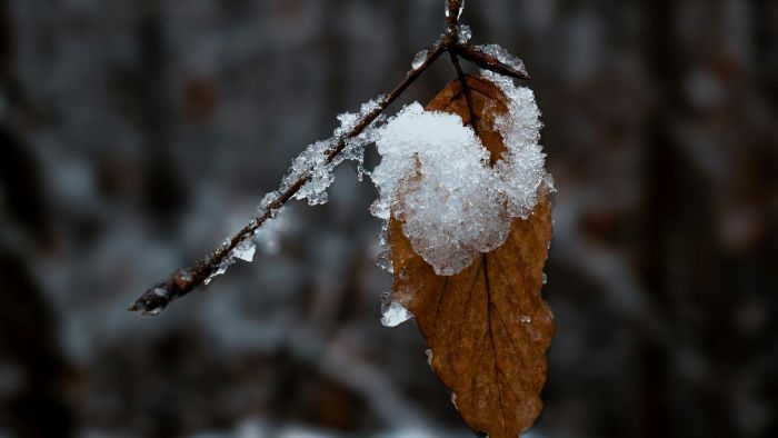 Még mindig zuhoghat az eső, az időjárás nem kegyelmez