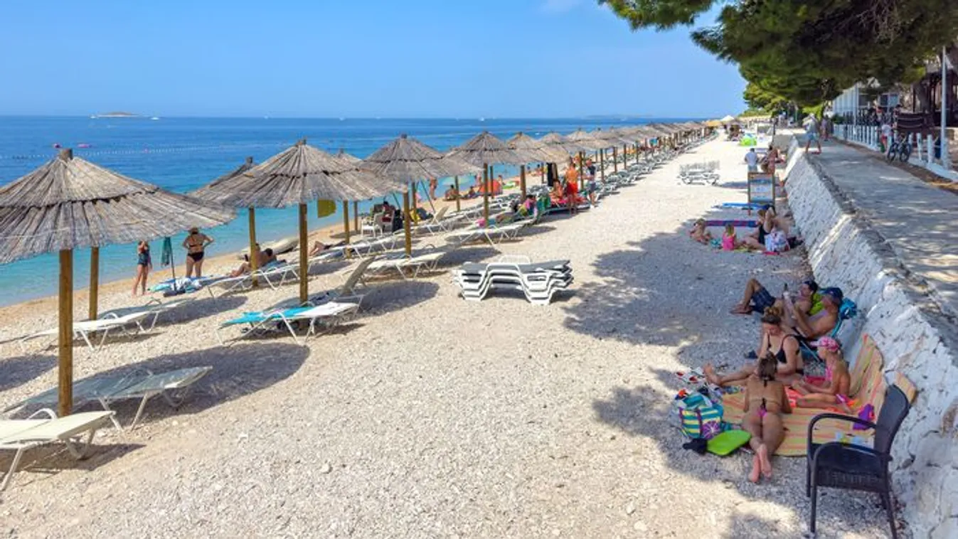 Kutyával is utazhatunk idén vonattal a horvát tengerpartra