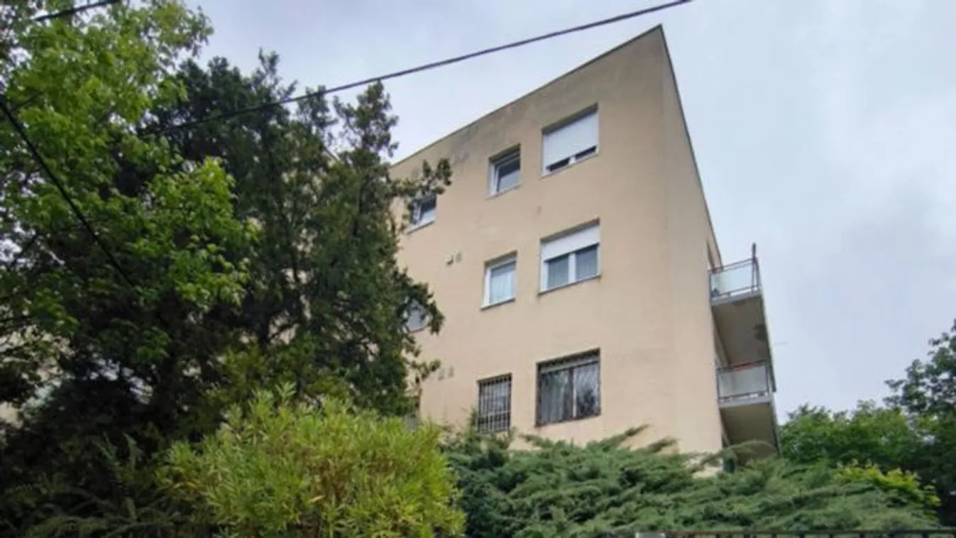 NB I-es focista öccse ölte meg a feleségét Budapesten