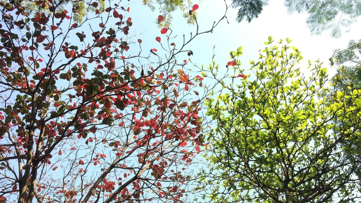 Örökre vége az évszakoknak?