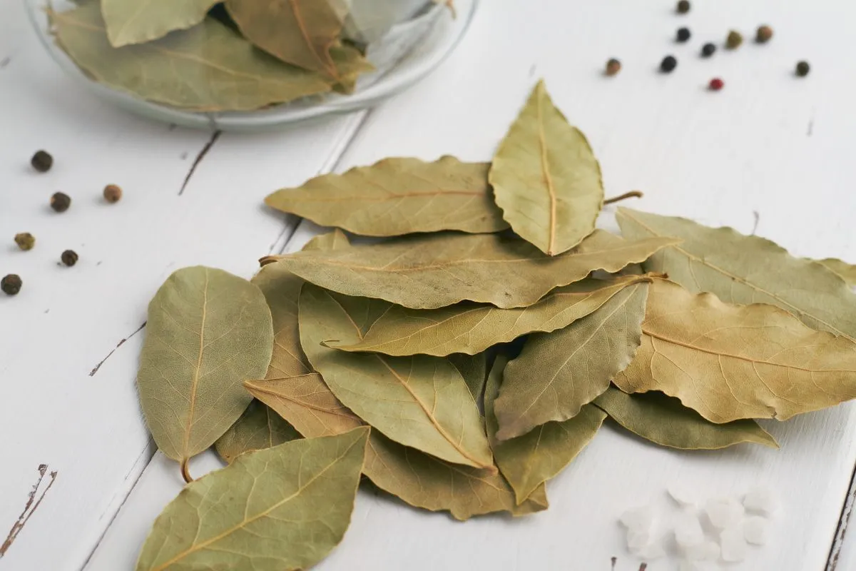 Dry,Bay,Leaves,On,White,Background,Glass,Jar,Peppercorns,Rock