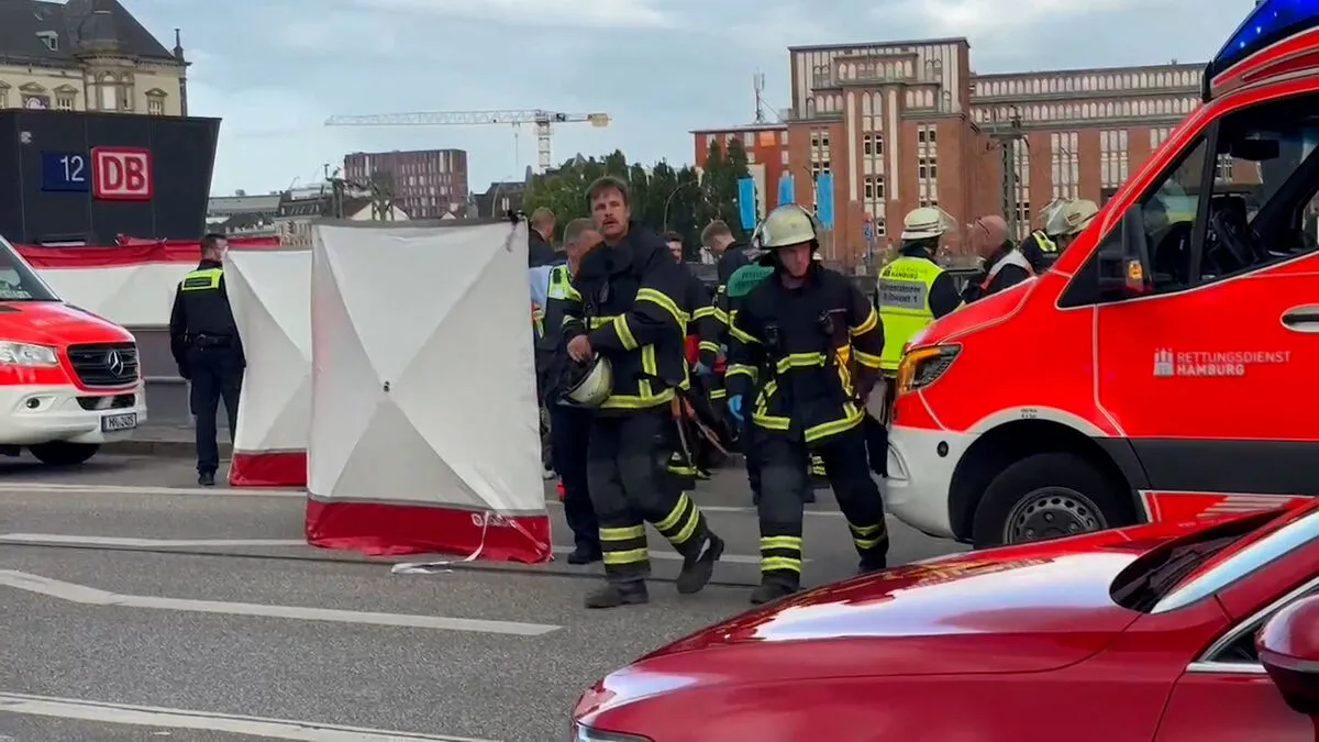 Several injured in knife attack in Hamburg