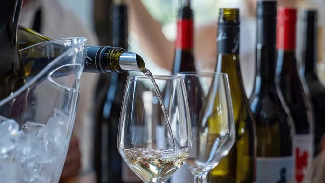 „A bor nem unalmas, nem öreges – épp ellenkezőleg”