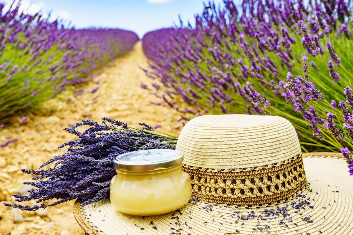 A konyhában is felhasználható a levendula.