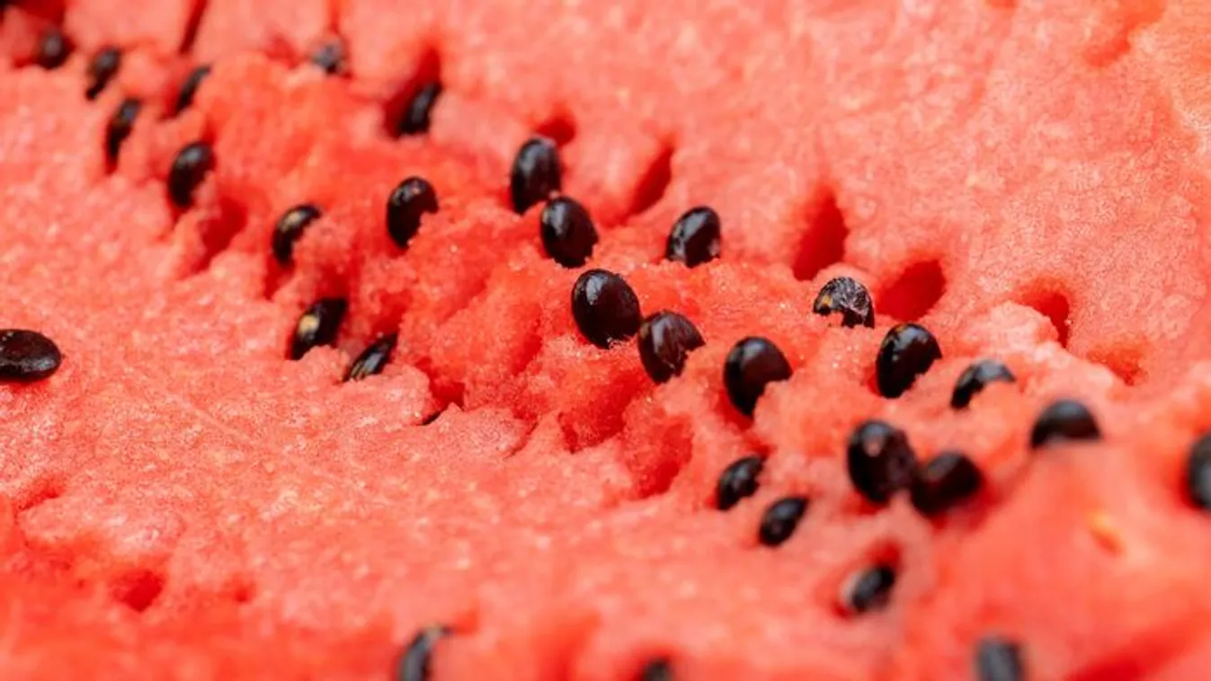 Ne dobd ki a dinnyemagot, nem hiszed el, mire jó