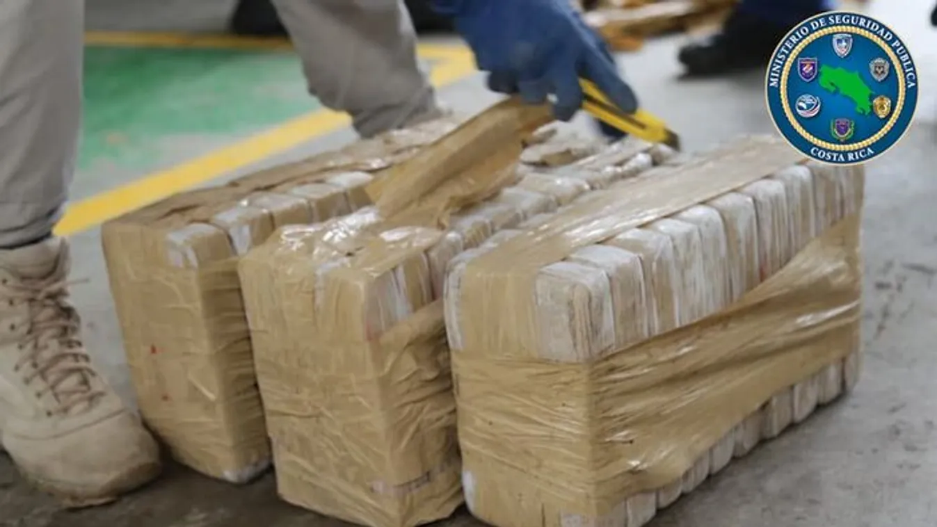 Hat tonna kábítószert foglaltak le a rendőrök