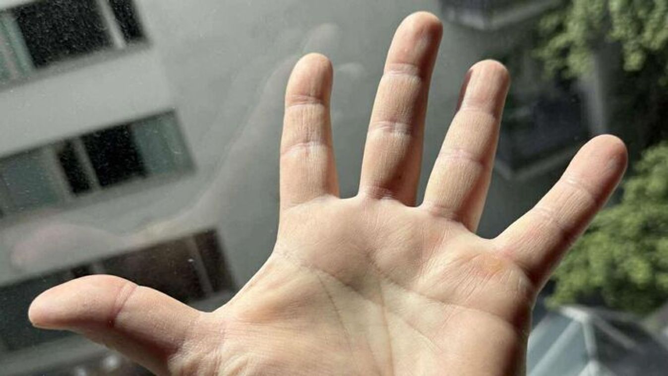 Így jósolnak tenyérből: Szegedi Erika még mindig kenterbe veri a mesterséges intelligenciát