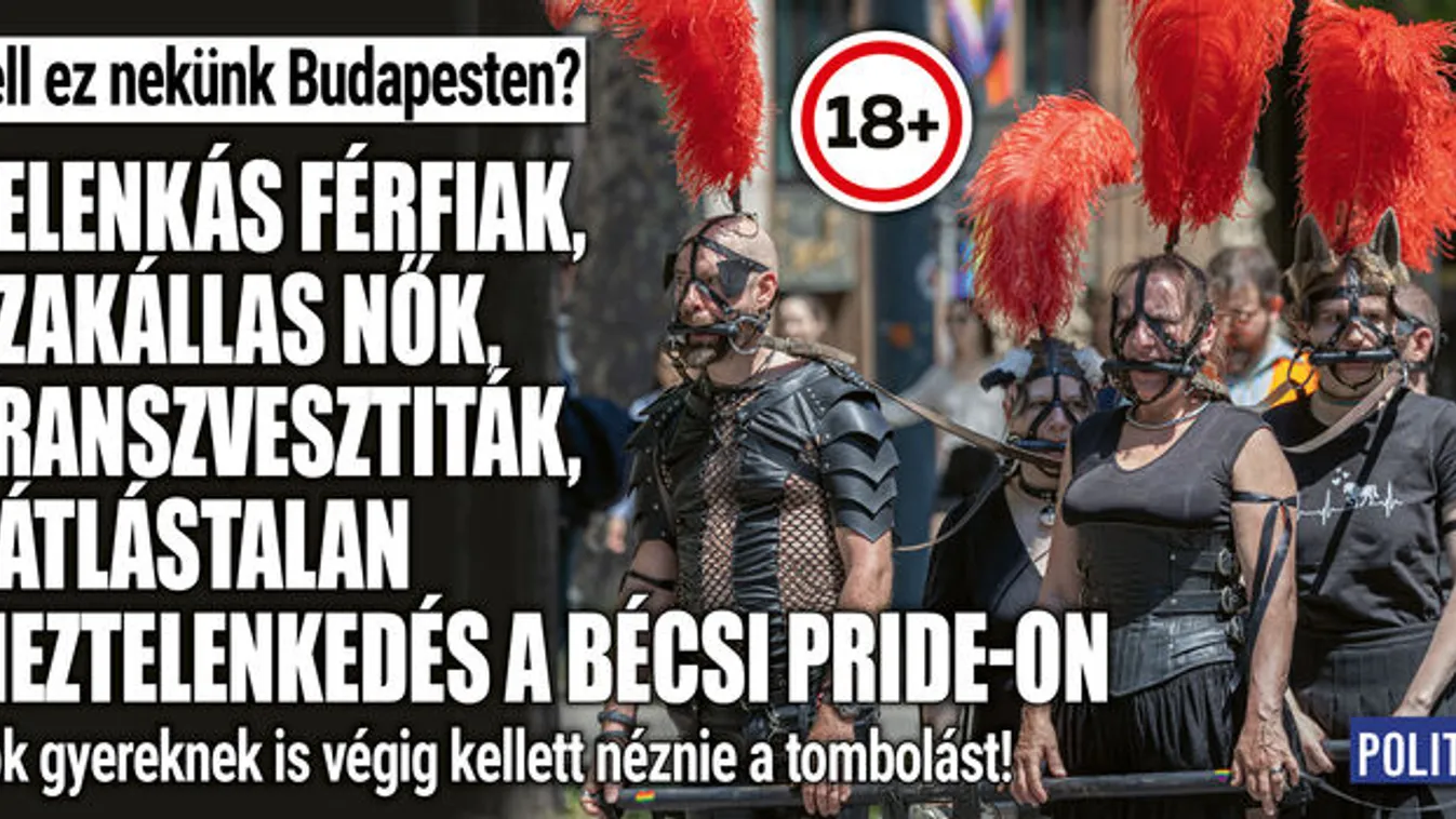 Pelenkás férfiak, szakállás nők,és gyerekek a bécsi Pride-on