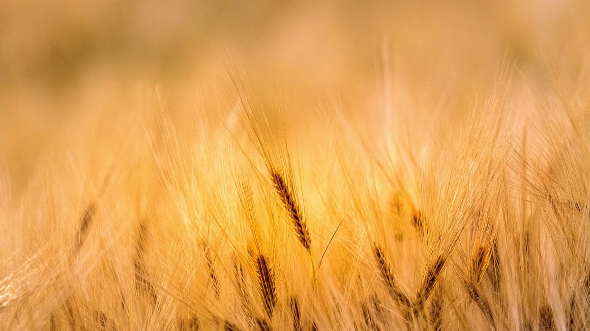 A munkalehetőségek változásai – mai állások Nyíregyháza városában (x)