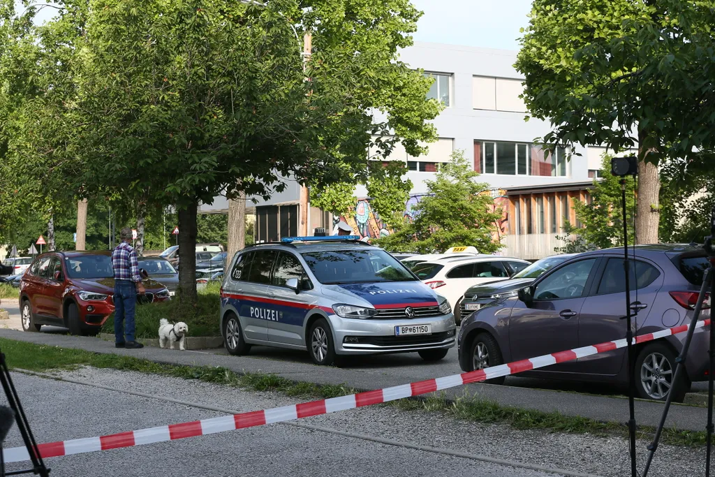 grazi lövöldözés