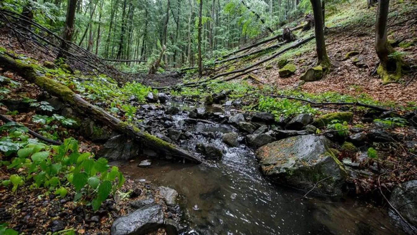 Két rejtélyes holttestet találtak egy eldugott kempingben