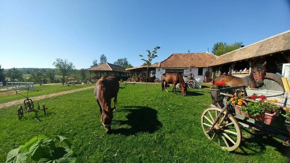 tanyán élők, tanya, gazdaság, farm
