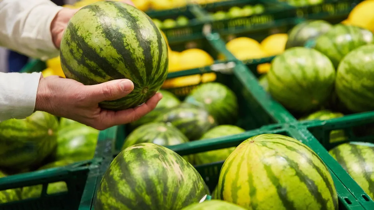 Two,Hands,Holding,Watermelon,While,Shopping,In,The,Supermarket,In, dinnye, 