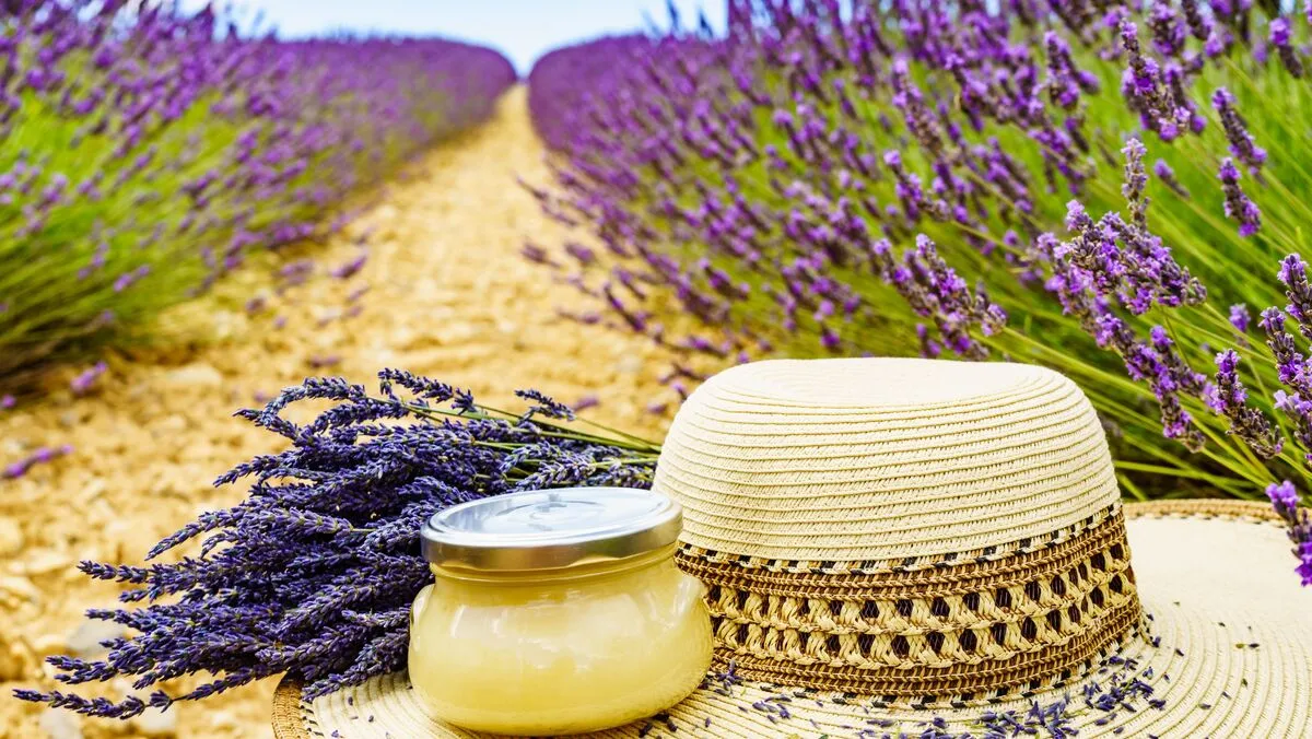 Summer,Hat,And,Glass,With,Honey,Against,Fresh,Lavender,Field, levendula, 