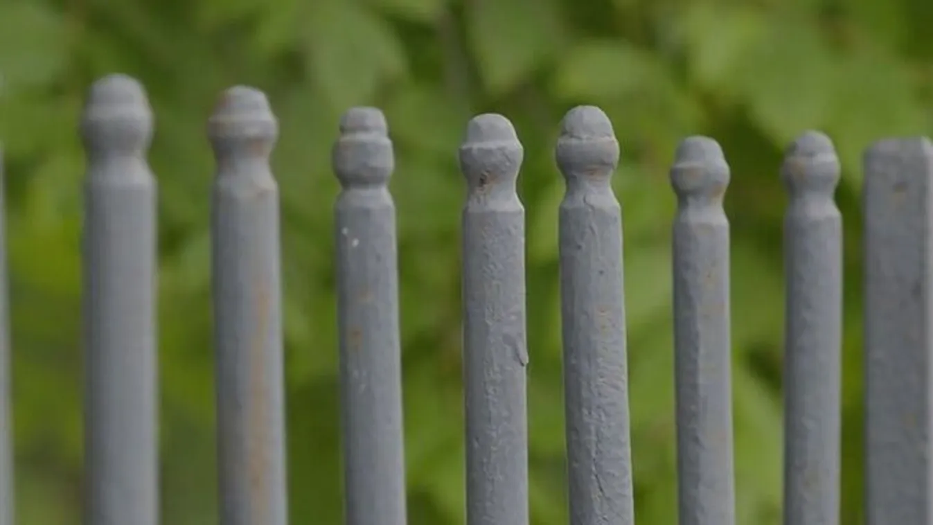 A bántalmazók arra kényszerítették, hogy babával szexeljen!