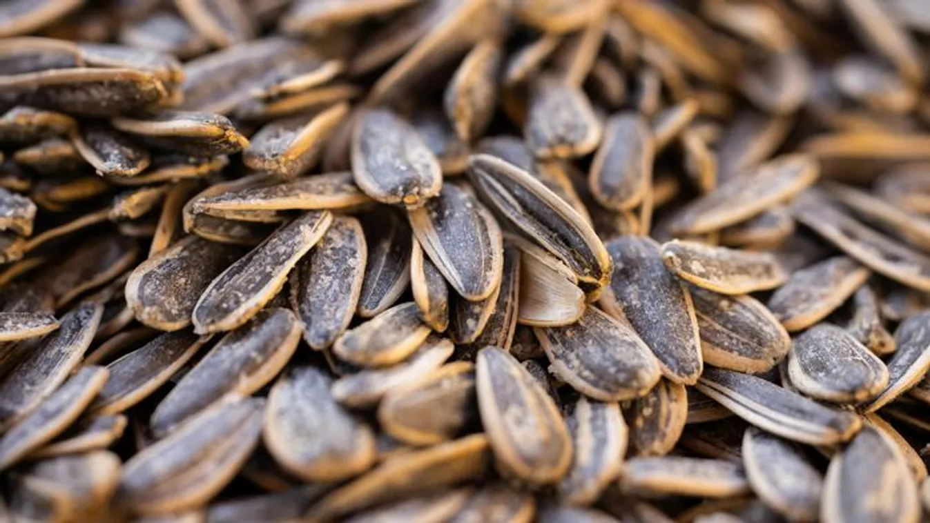 Te is a szádba veszed a szotyit? Mutatjuk, mi van a héján!