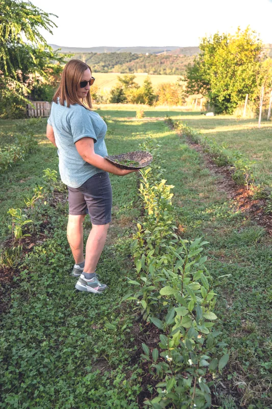 Valóság rovatban Varga Marianna teanagykövet - RIPOST
