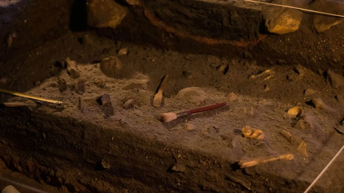 Gyermekcsontokat találtak felújítás közben