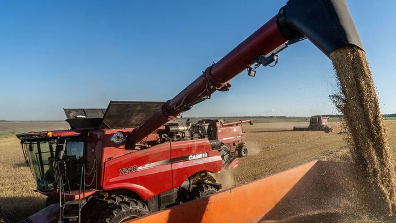 Ukrán EU-csatlakozás: silány, génmódosított élelmiszerek