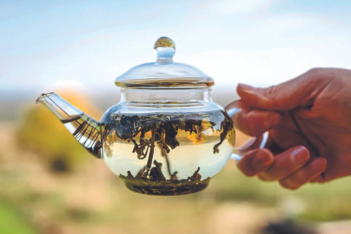 Valóság rovatban Varga Marianna teanagykövet - RIPOST