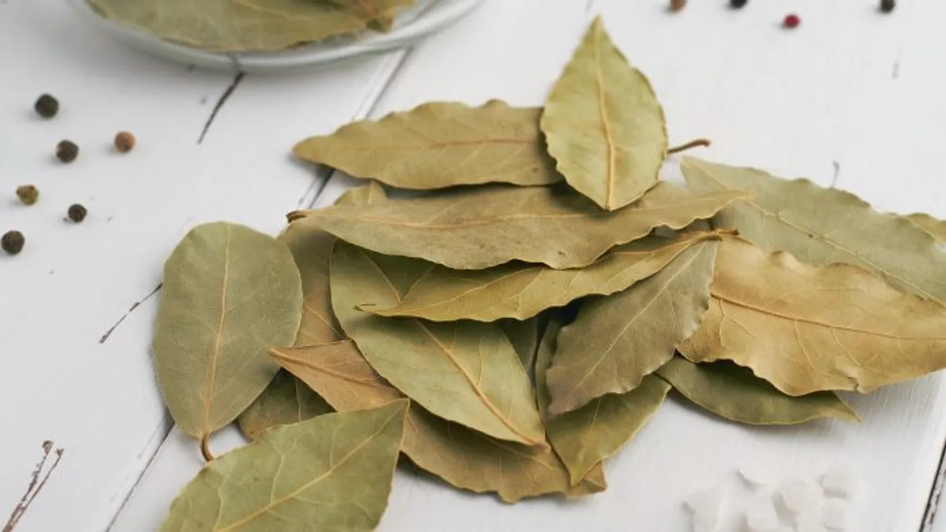  Itt az új őrület: moss babérlevéllel!