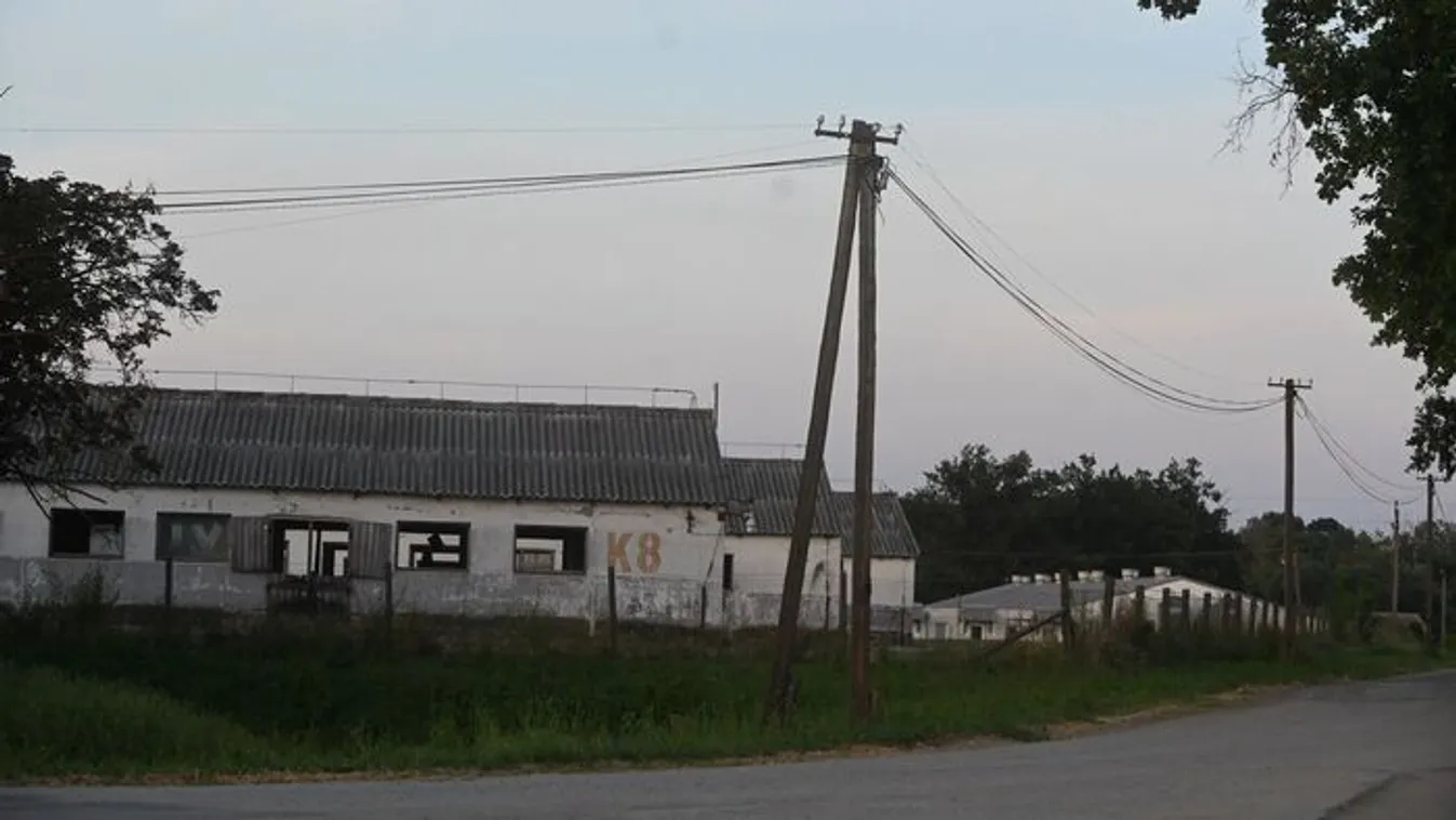 Munkahelyi baleset: életet mentve hat meg a hős Karcsi