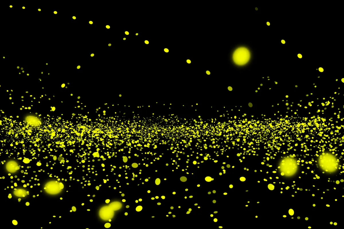 szentjánosbogarak, szentjánosbogár-rajzás