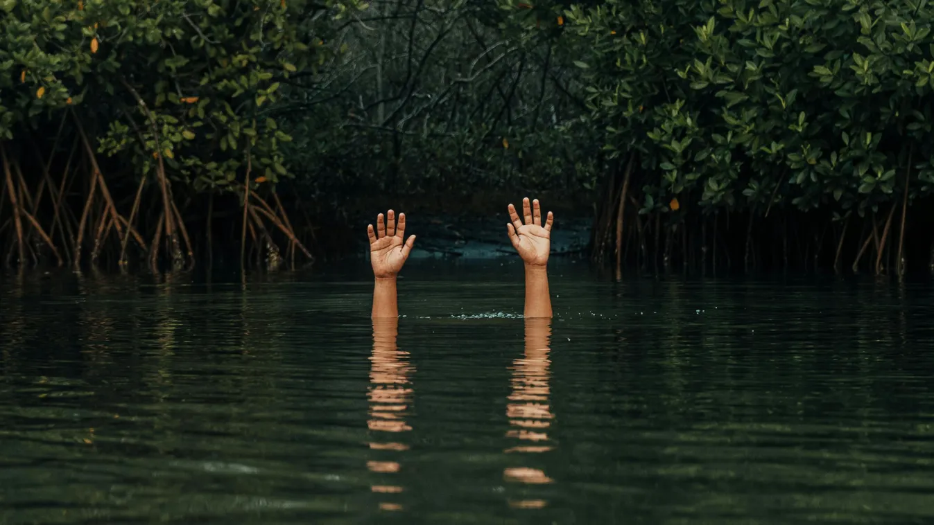 Egy év után találták meg az eltűnt férfi holttestét