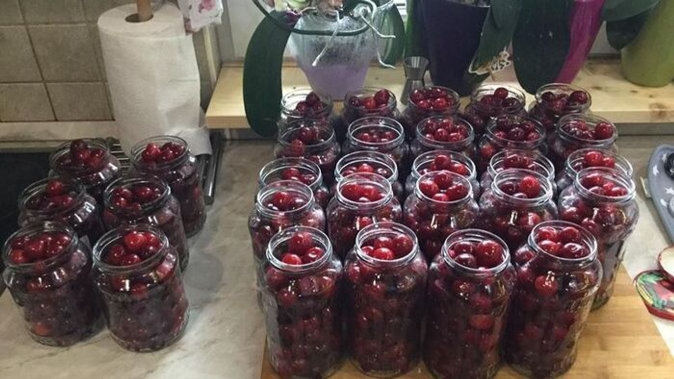 Minden egyes szem kincset ér: így tudod legkönnyebben befőzni a cseresznyét