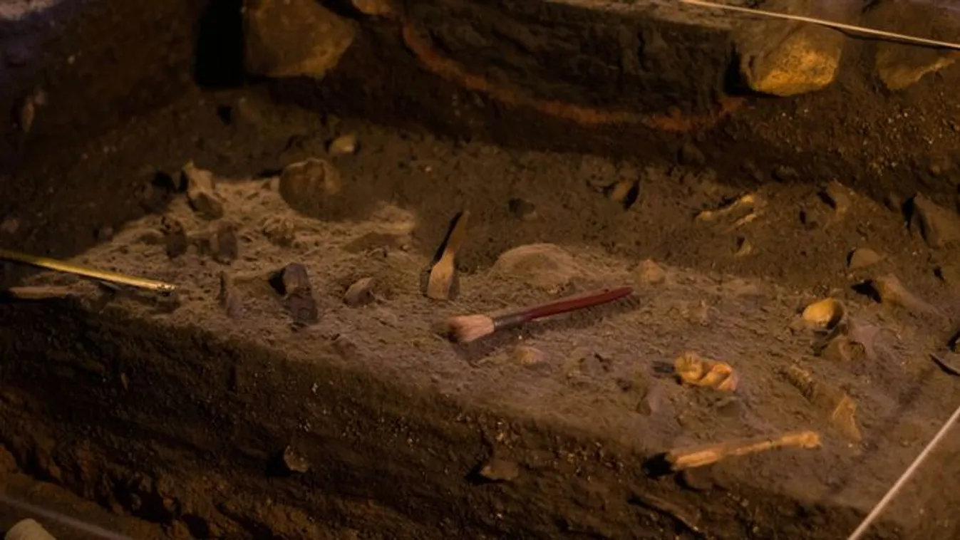 Ez mindent megváltoztathat: 6000 éves csontvázat találtak