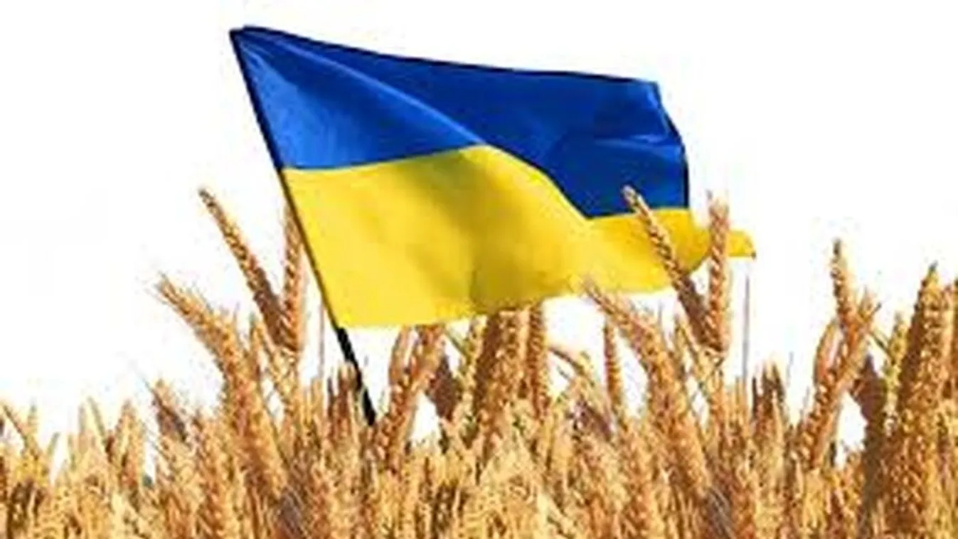 Az ukránokra vonatkozó "könnyítések" tönkretennék a mezőgazdaságot