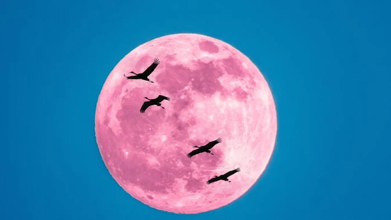 3 csillagjegy számára mézédes gyönyöröket hoz az eperhold