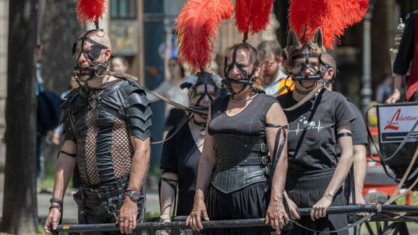 Pelenkás férfiak, szakállás nők,és gyerekek a bécsi Pride-on