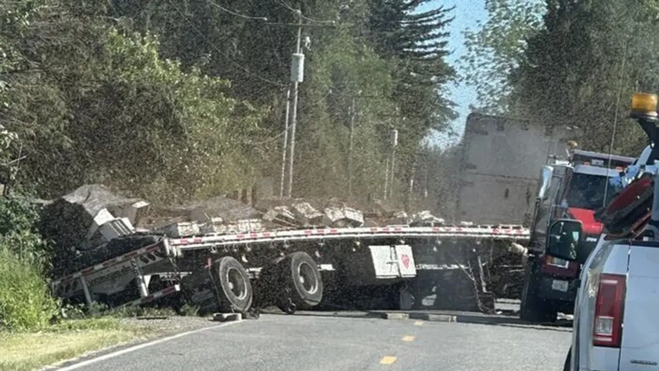 Negyedmilliárd méh szabadult el egy felborult teherautóból