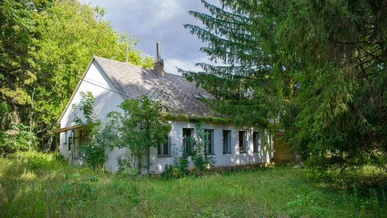 Rejtély: Mindent hátrahagyva tűntek el a gyerekek