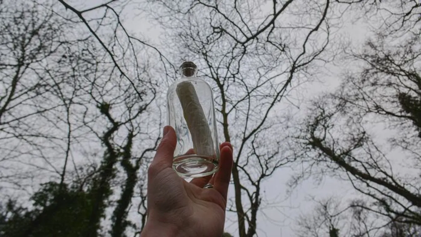 31 év után érkezett válasz egy palackpostára