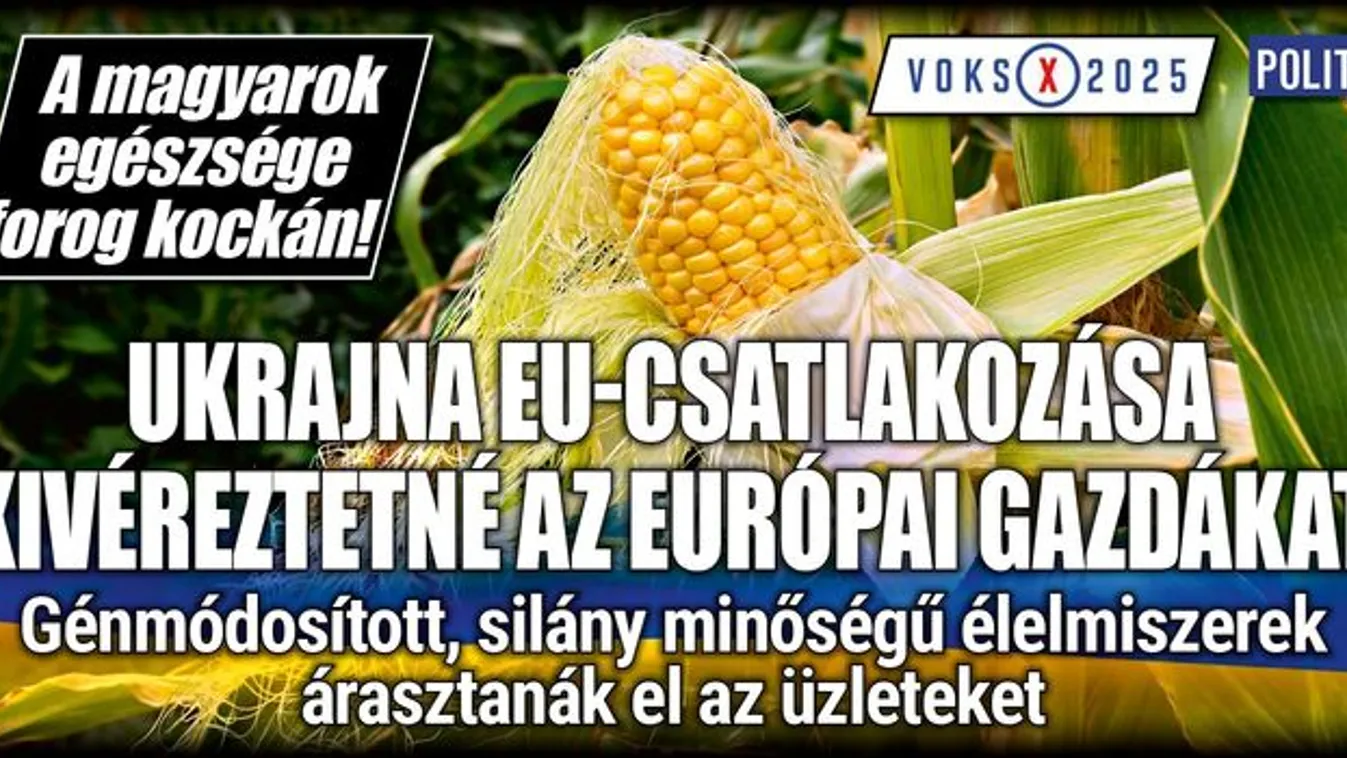 Ukrán EU-csatlakozás: silány, génmódosított élelmiszerek