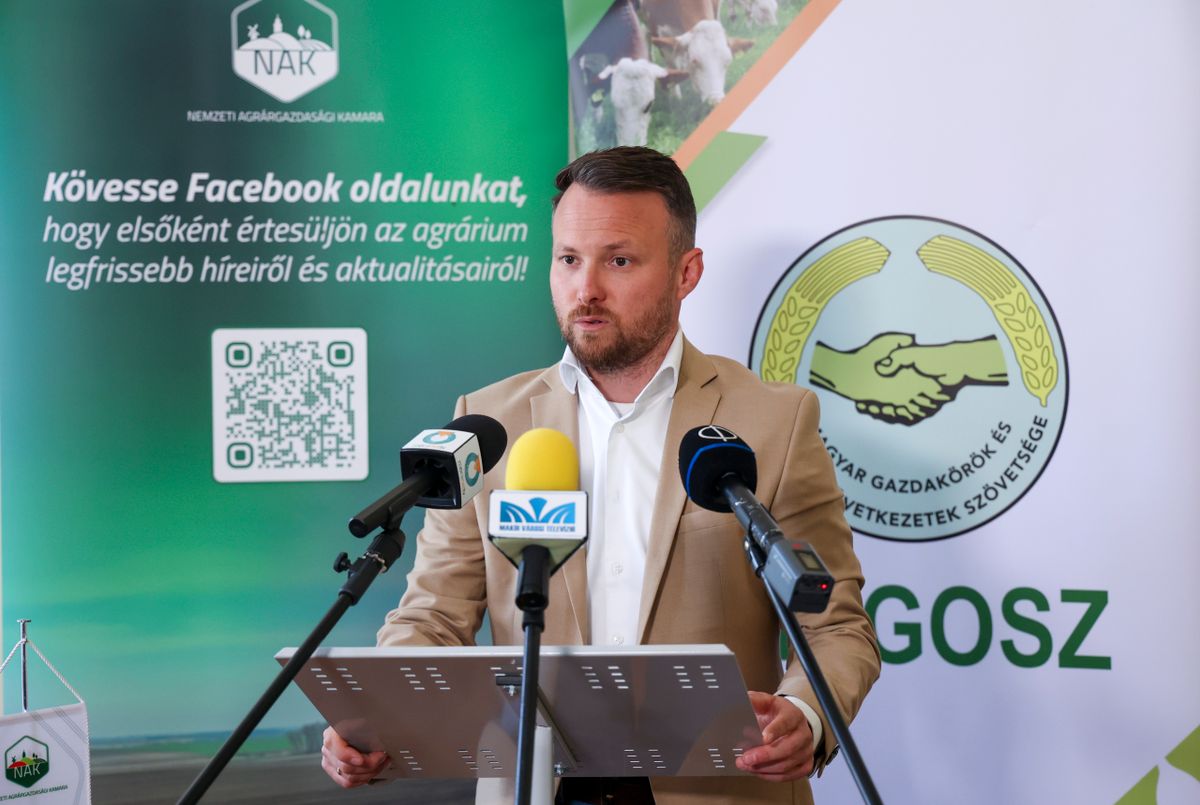 Karnok Csaba