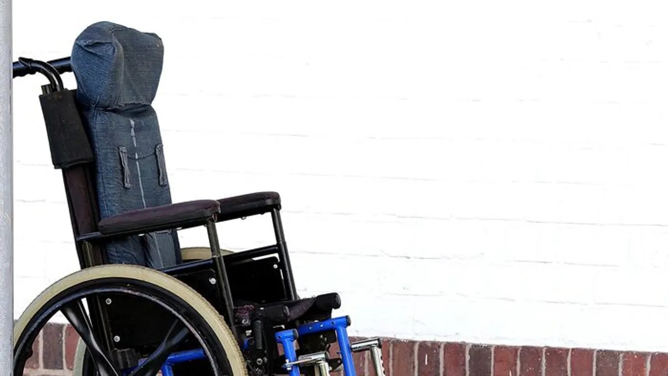 Kullancscsípéstől bénult le egy fitnesz influenszer