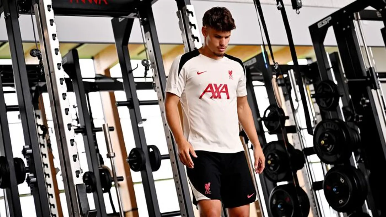 Áll a bál, Kerkez Milost egy törölt poszt miatt támadják