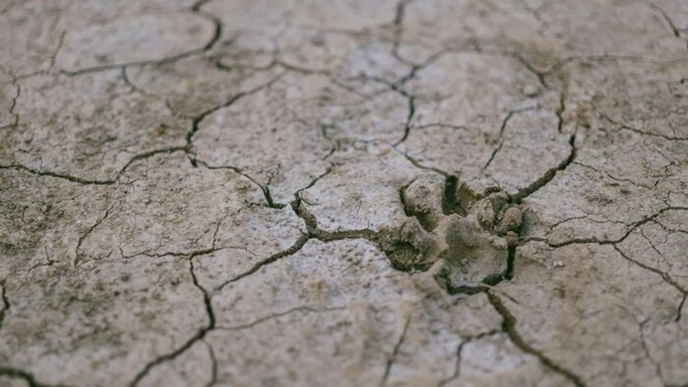 Elhunyt egy 14 éves, többen pedig épületekről ugrottak le