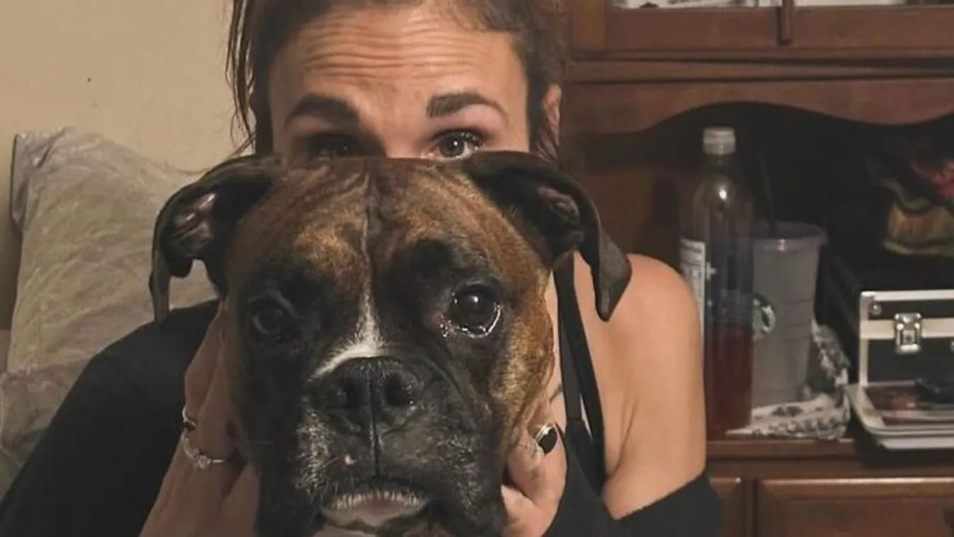 Tragédia a síneken: fiatal nőt gázolt halálra a vonat