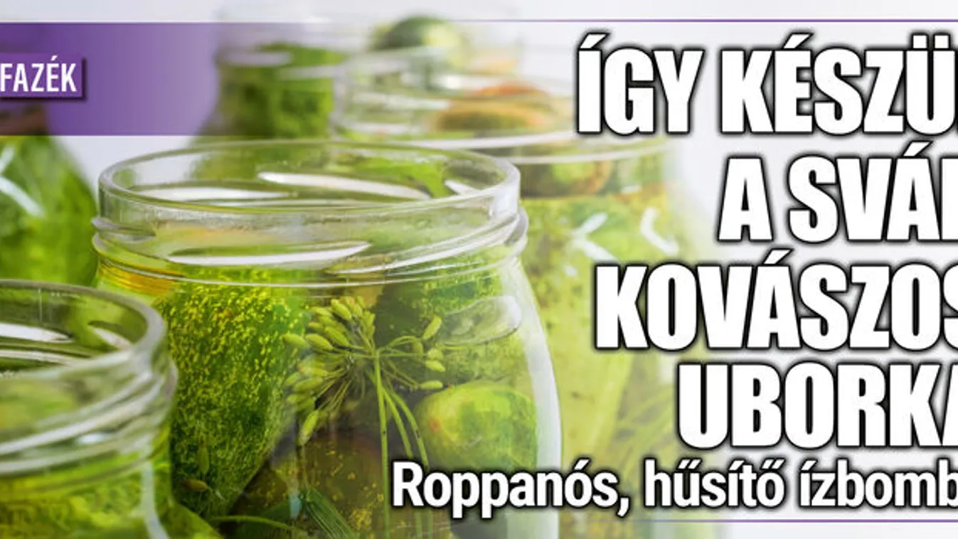 Így készül a sváb kovászos uborka: roppanós, hűsítő ízbomba